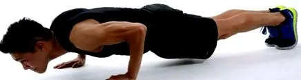 proteinhouse