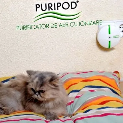 прочистувач puripod