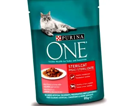 sterilcat