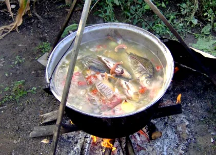 радио