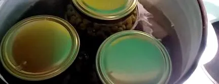 зеленого рецепт