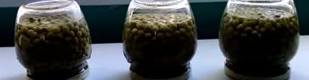 покроковий рецепт