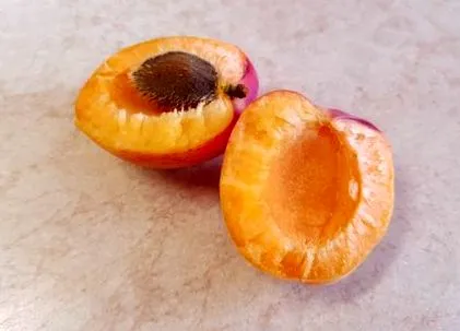böjt