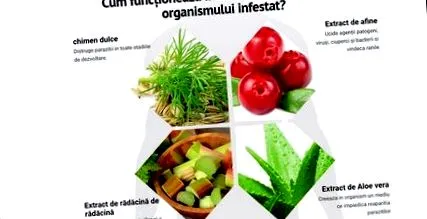 megtisztítja