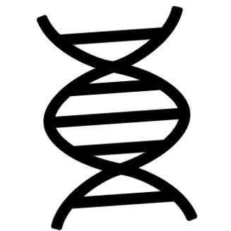 digitalizált