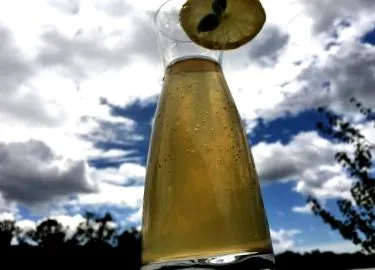 receptek