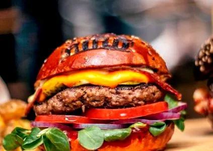 hamburgereivel
