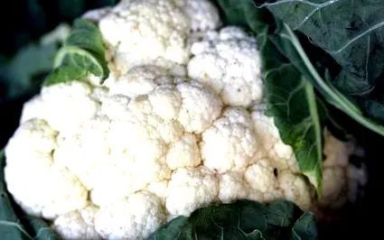 Karfiol recept