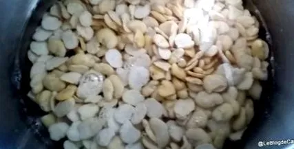 bissara