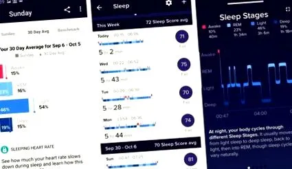 fitbit