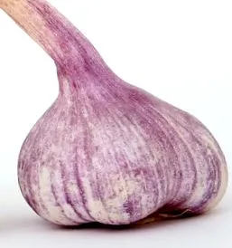 betegségek
