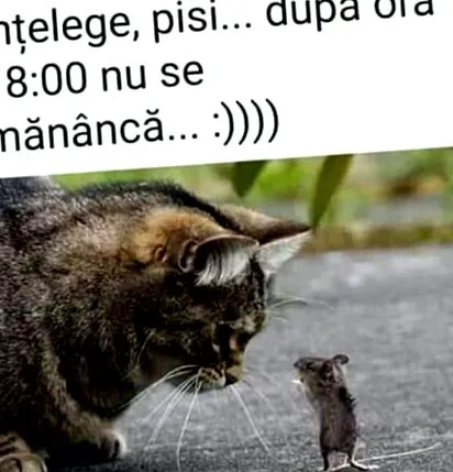 диета запомнете