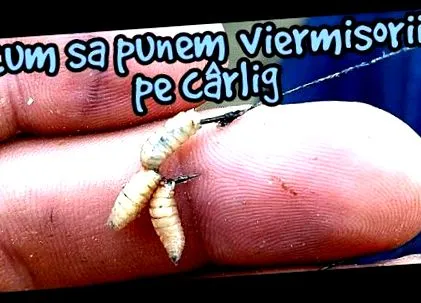gyógymód