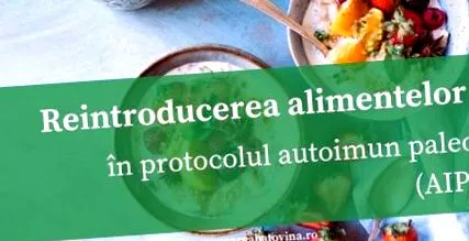 protokollba