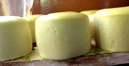 titkos