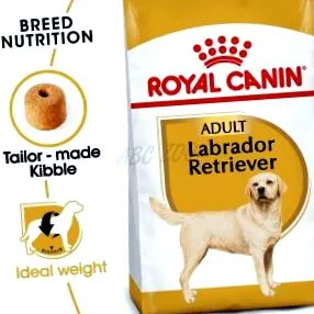 canin retriever