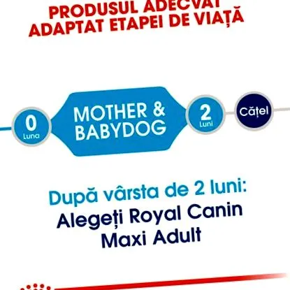 maxi