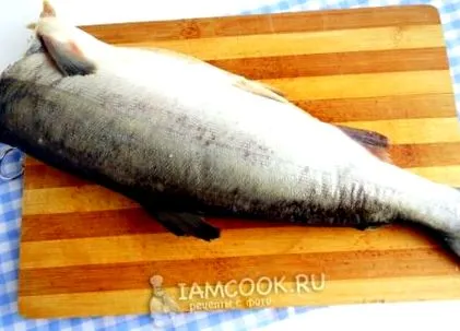 лосос