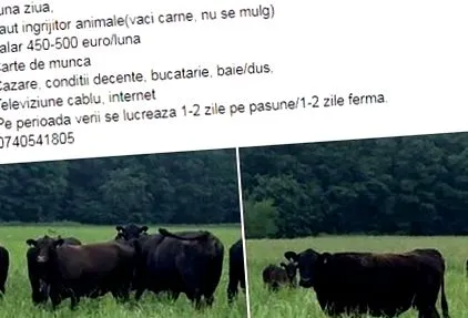 зарплата зарплата