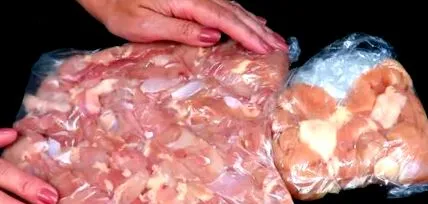 dospelých kuracie