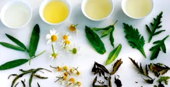 herbalsauna