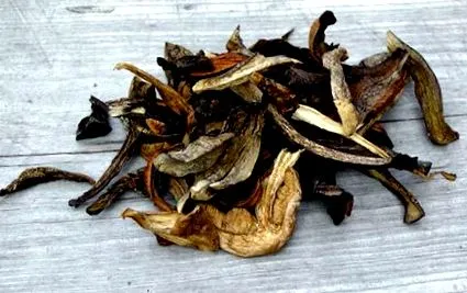 szárított betakarított
