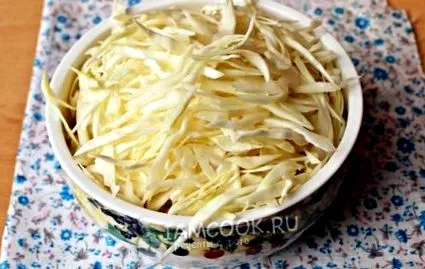 зимата солена зелка