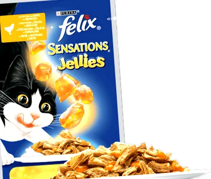 csirkehúsban