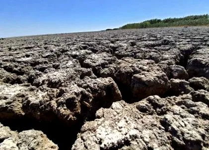 сенатор