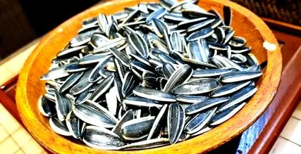 Семки сончоглед