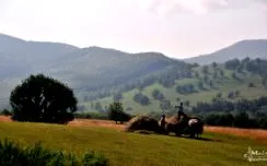 вулкански вулкански