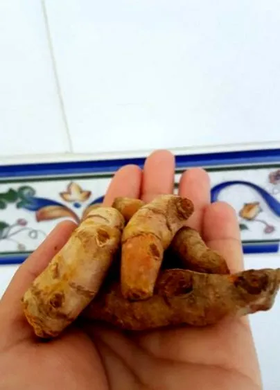 konyhai nővér