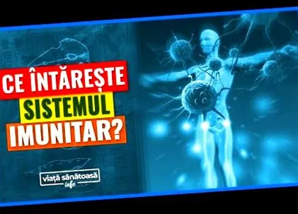 телото