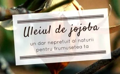 tippek megfelelő