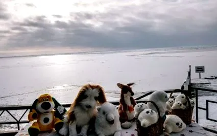 cristian szibéria