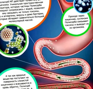 возрасни
