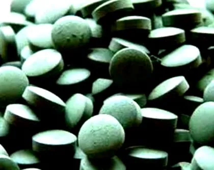 spirulina éhezésben