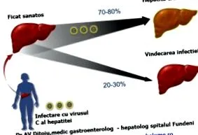 táplálkozási