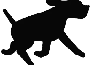 Спрингер Спаниел