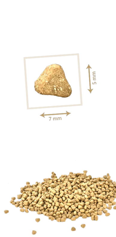 sterilizált 3712