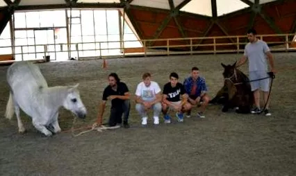 sport projektkategóriák