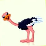 strucc