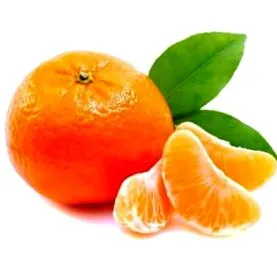 szőlő