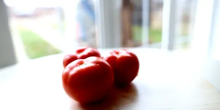 gazpacho