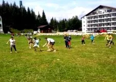 nyári