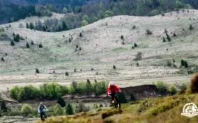 north külön