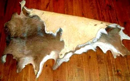 feldolgozására