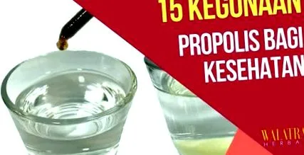 прополісу