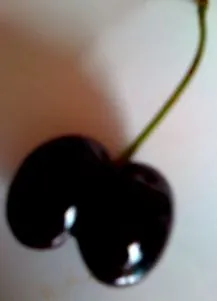 receptek