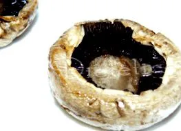 диететски печурки